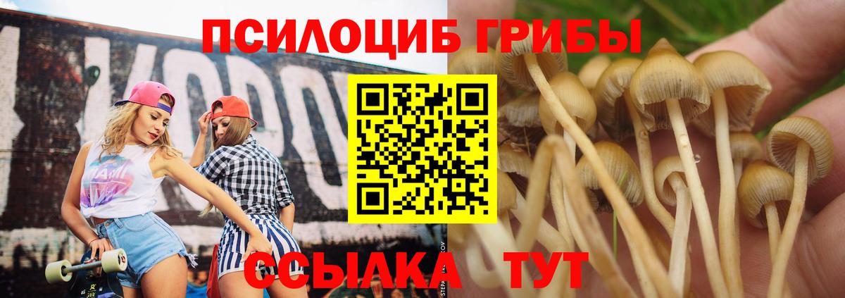 Галлюциногенные грибы мицелий  Вход с VPN  Горячий Ключ  Галлюциногенные грибы Psilocybe 